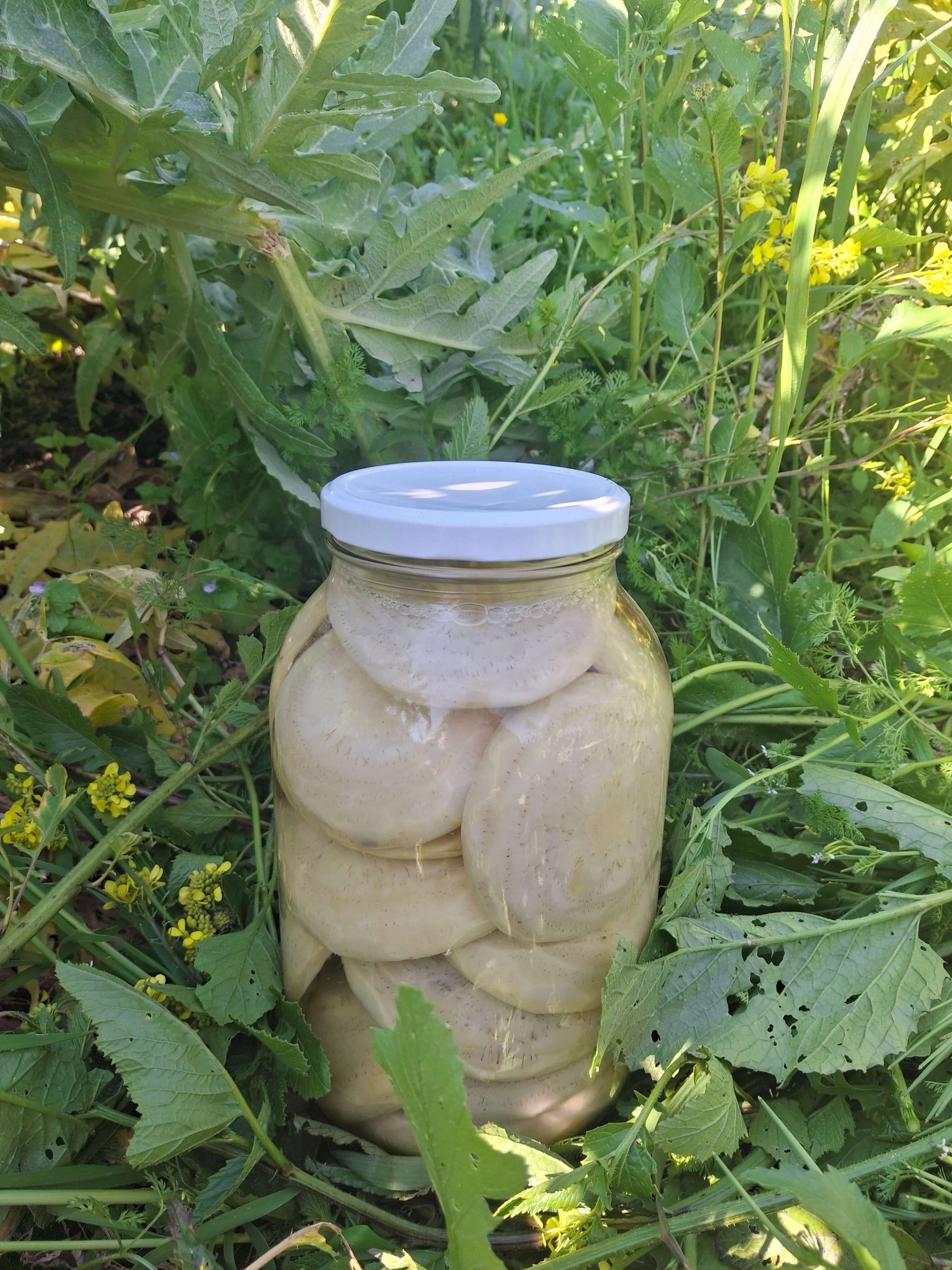 3000cc Kavanoz — 15 Enginar Çanağı